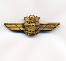 Jimmie Allen Cadet Wings Pin, 1934