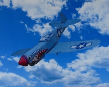 1 AMERICAN P-40